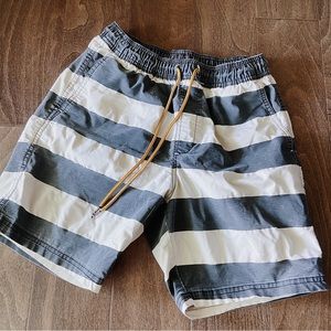Pacsun Valor Mens Board Shorts